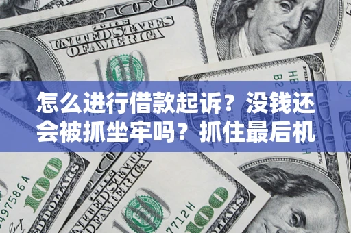 武汉怎么进行借款起诉？没钱还会被抓坐牢吗？抓住最后机会！