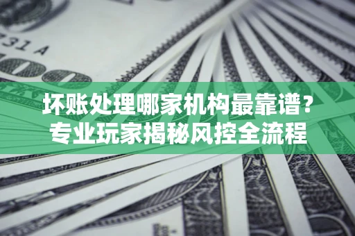 武汉坏账处理哪家机构最靠谱？专业玩家揭秘风控全流程