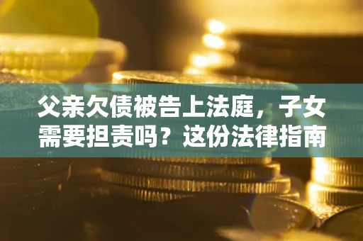 武汉父亲欠债被告上法庭，子女需要担责吗？这份法律指南必须看完