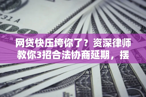 武汉网贷快压垮你了？资深律师教你3招合法协商延期，摆脱暴力催收！