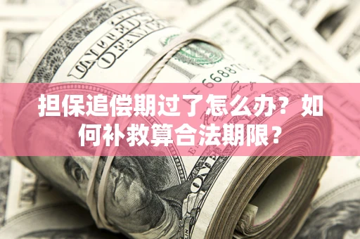 武汉担保追偿期过了怎么办？如何补救算合法期限？