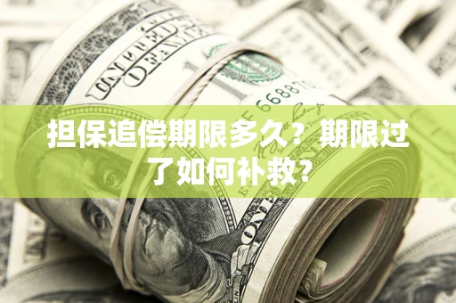 武汉担保追偿期限多久？期限过了如何补救？