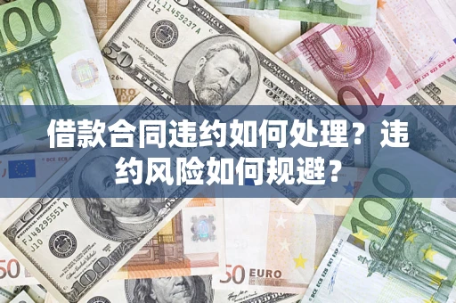 武汉借款合同违约如何处理？违约风险如何规避？