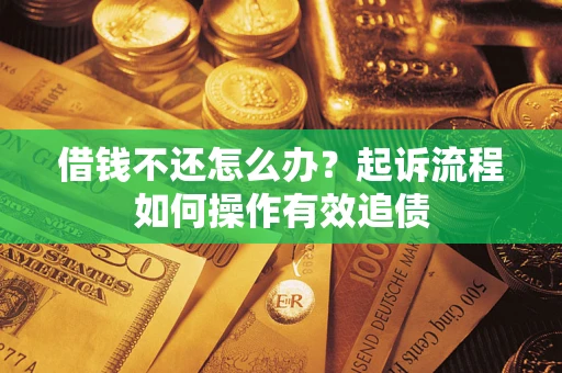 武汉借钱不还怎么办？起诉流程如何操作有效追债