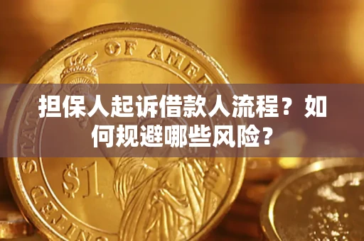 武汉担保人起诉借款人流程？如何规避哪些风险？