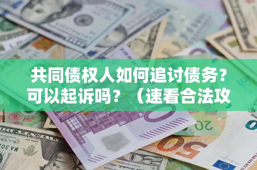 武汉共同债权人如何追讨债务？可以起诉吗？（速看合法攻略）