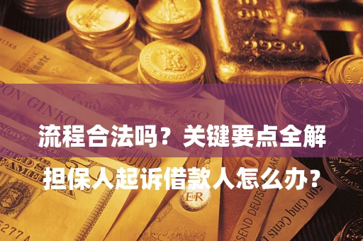 武汉

担保人起诉借款人怎么办？流程合法吗？关键要点全解析