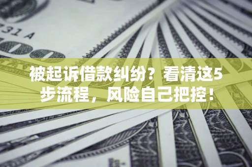 武汉被起诉借款纠纷？看清这5步流程，风险自己把控！