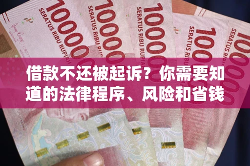 武汉借款不还被起诉？你需要知道的法律程序、风险和省钱技巧